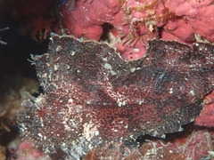 P1250010