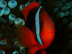 大荒れの海！😅