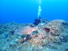 P3141110