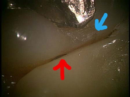 ���Ȼ��δ֤����