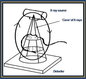 cone beam