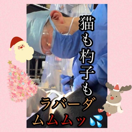 2023.12.24.���ꥹ�ޥ�