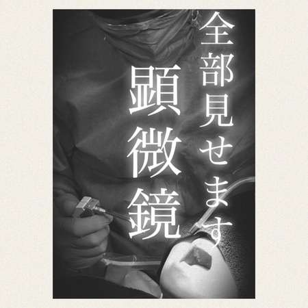 ���٤Ƹ����ޤ�������