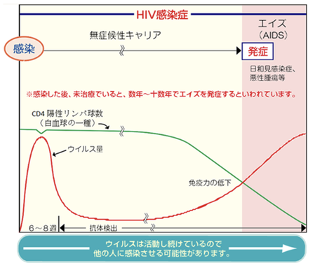HIV´¶À÷¤«¤é¥¨¥¤¥º¤Îȯ¾É¤Þ¤Ç