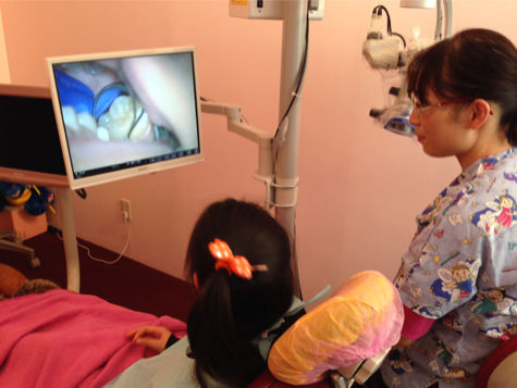 firstmolar