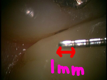 ���Ȼ��δ֤�������ߥꡩ