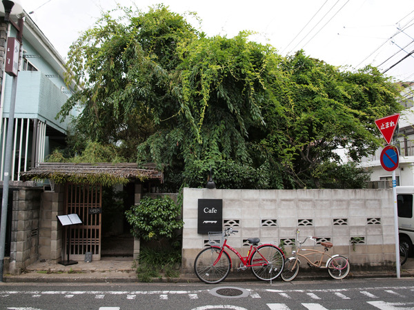 パッパライライ