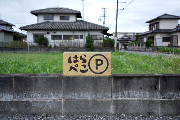 DSCF2154
