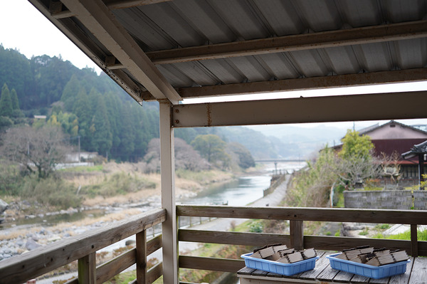 DSC0081720210314