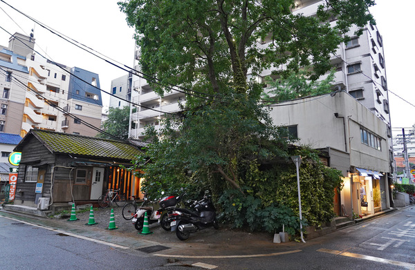 DSC00137