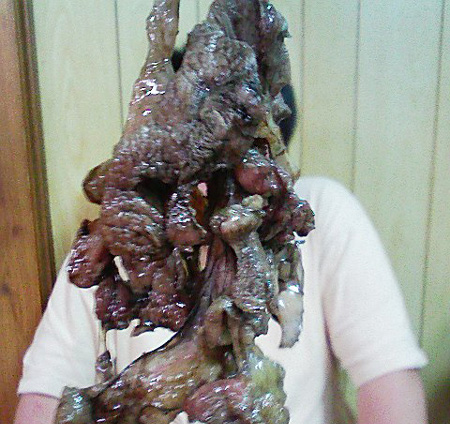 �ܺ�Ȥ���֤��ĥ���ϷܾƤ�