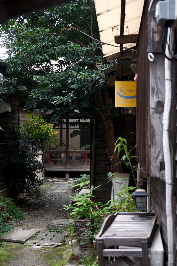 202410DSCF5037