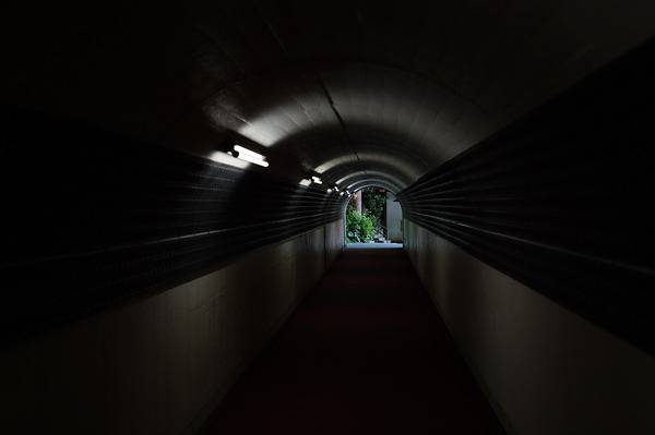 20210530DSC06731