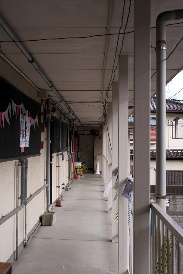202411DSCF6431