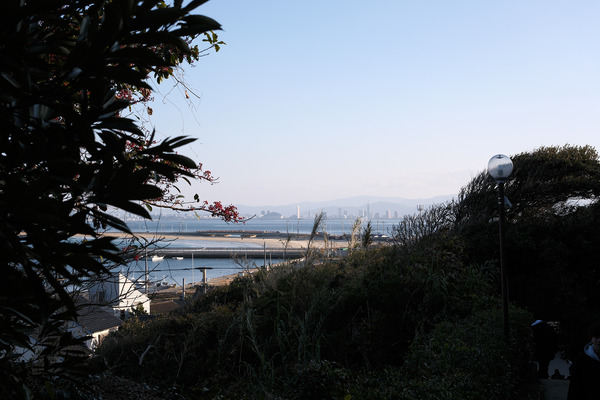 20250102DSCF7834