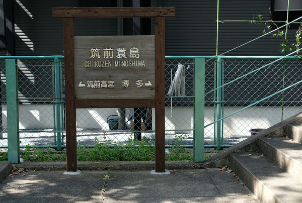 DSCF7694