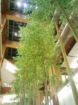 ���������С�����ߥåɥ������