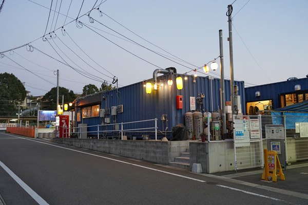 ロータスDSC01253