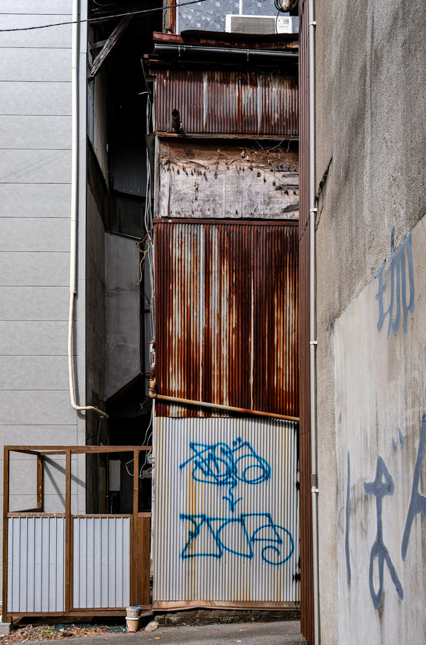 DSCF2635