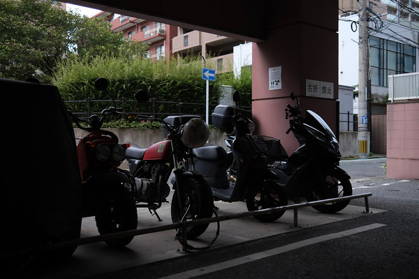 202408DSCF6255