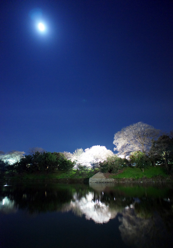 ���ޤ�ƽ����������˹ԤäƤߤ���