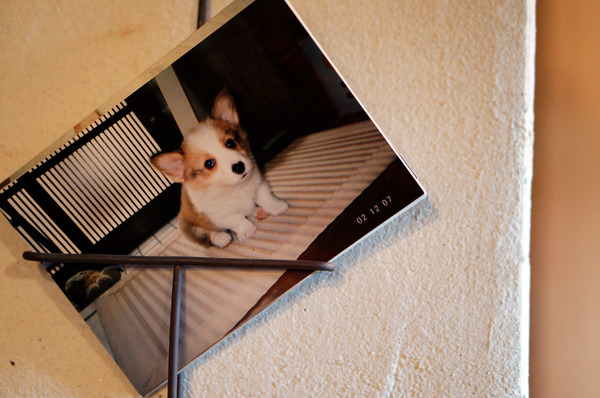 ���ꥳ�å�