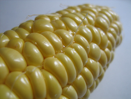 �ܤʿ𡹤�������