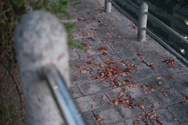 珈琲小林DSCF2155