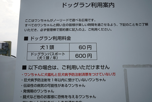 202207DSC05851