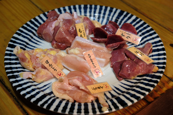 202310DSCF7912