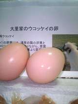 �����å���