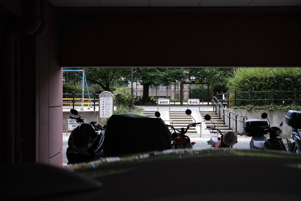 202408DSCF6253