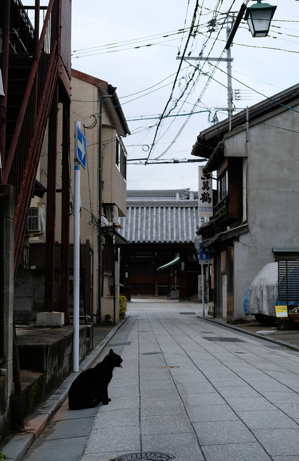 202402DSCF9959