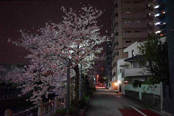 美松コーヒー香椎店