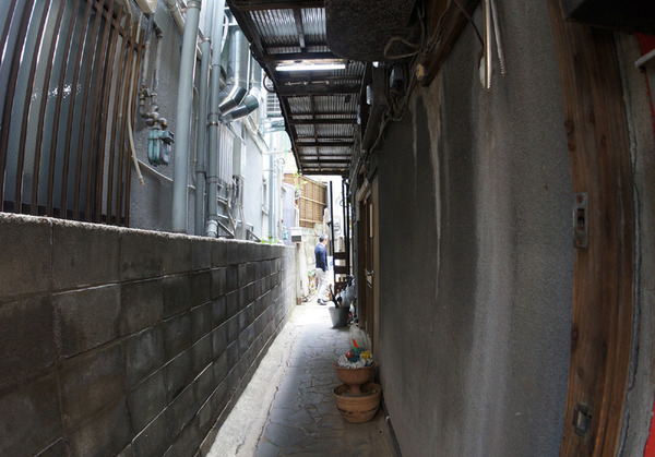 ϩ��΢���졼Tiki