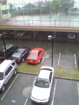 �뤫�鱫������