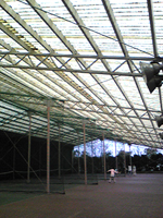 ��ư����