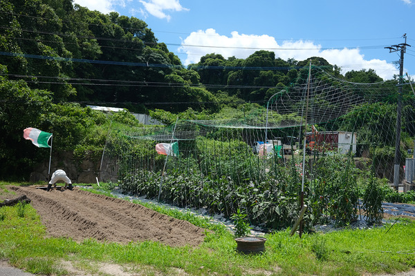 DSCF0540