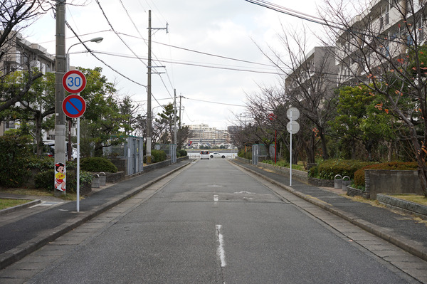 カタオサDSC08432