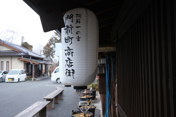 2023DSCF8101