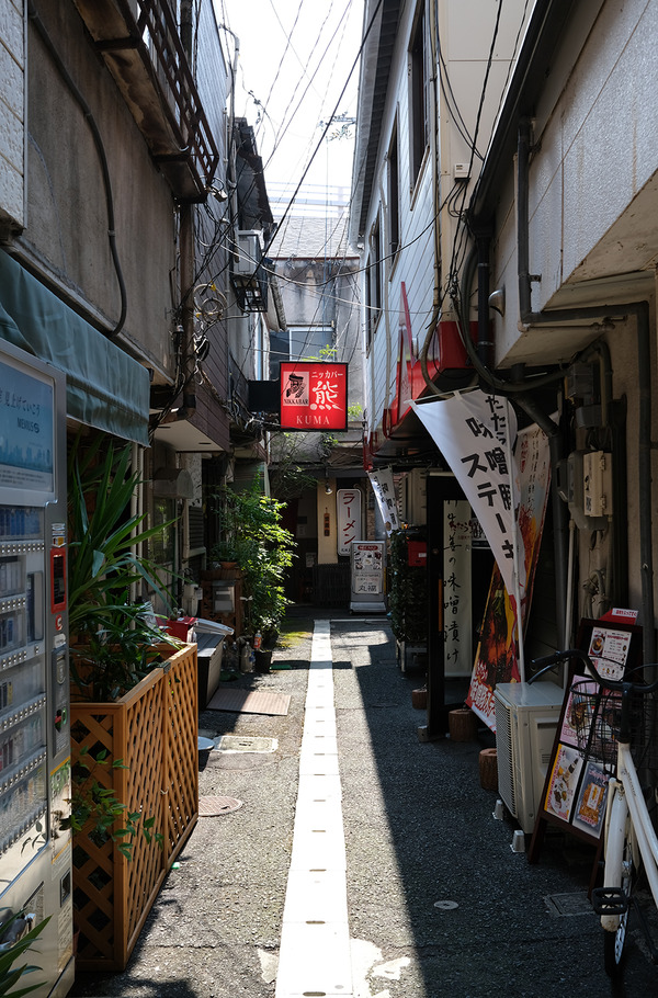 20240908DSCF6972