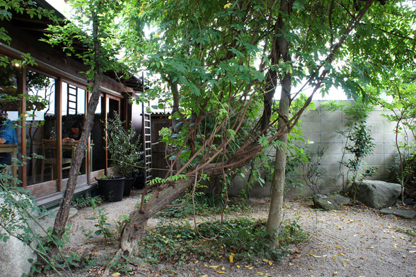 パッパライライ