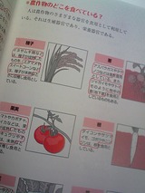 ���θ���