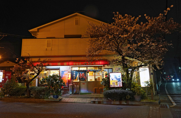 DSC03412