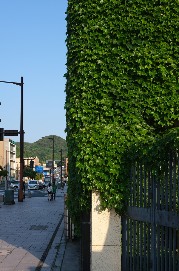 202205DSCF6267