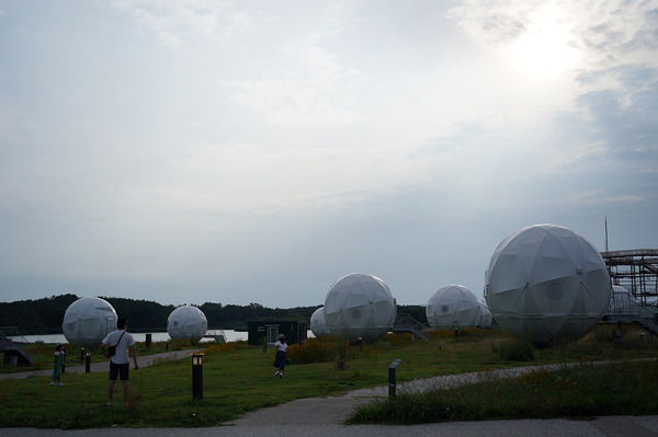 202207DSC05867
