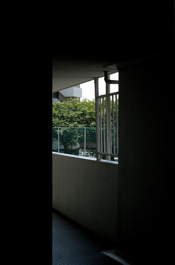2023DSCF6541