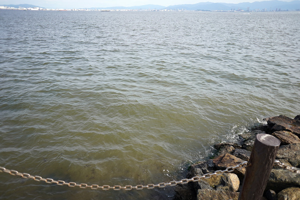 202207DSC05743