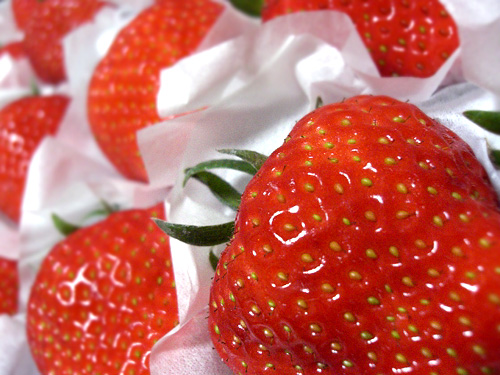 �ޤ������