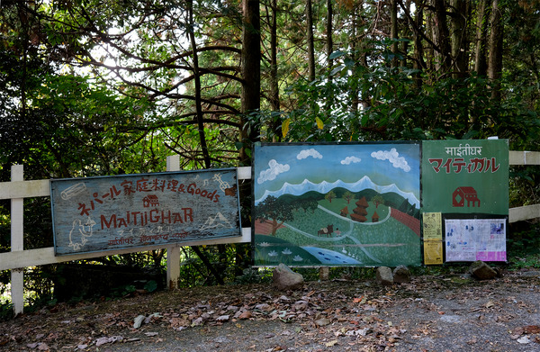 ���ģ�DSCF7734